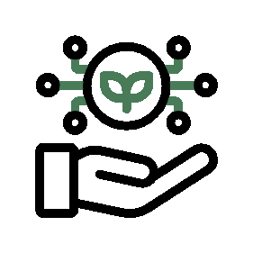 Innovation & Customization