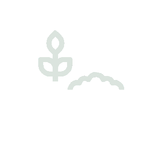 Quality Raw Materials