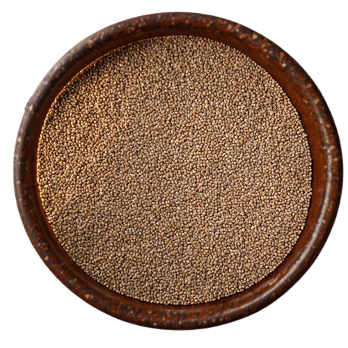 Premium pearl millet (bajra) grains from Vedafox Group showcasing iron-rich properties and drought-resistant cultivation