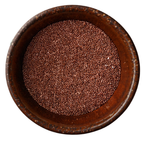 Premium finger millet (ragi) grains from Vedafox Group highlighting exceptional calcium content for bone health