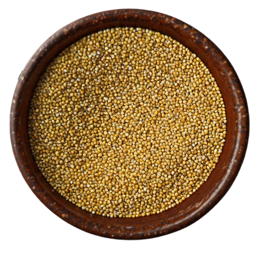 Premium little millet grains from Vedafox Group showcasing compact size with mighty nutritional benefits