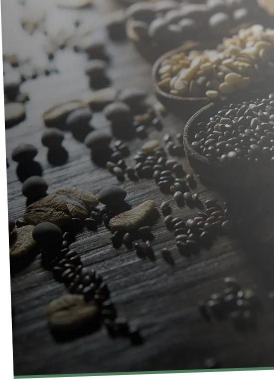 Pure Oil Seeds