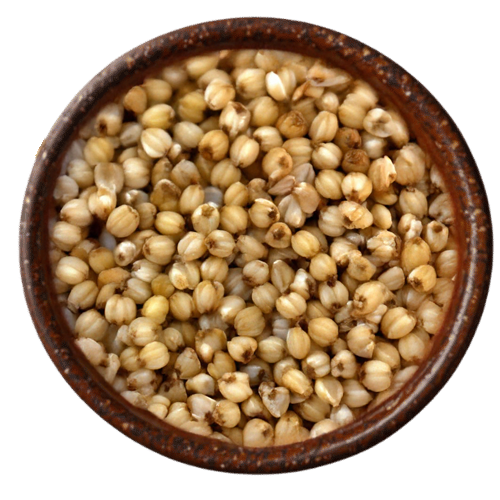 Complete collection of Vedafox Group's organic millet varieties  - Kodo Millet