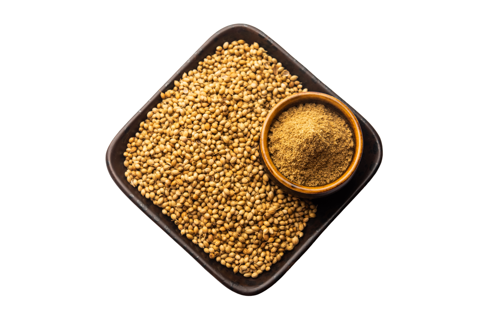 Premium  Coriander Seeds - Dhania