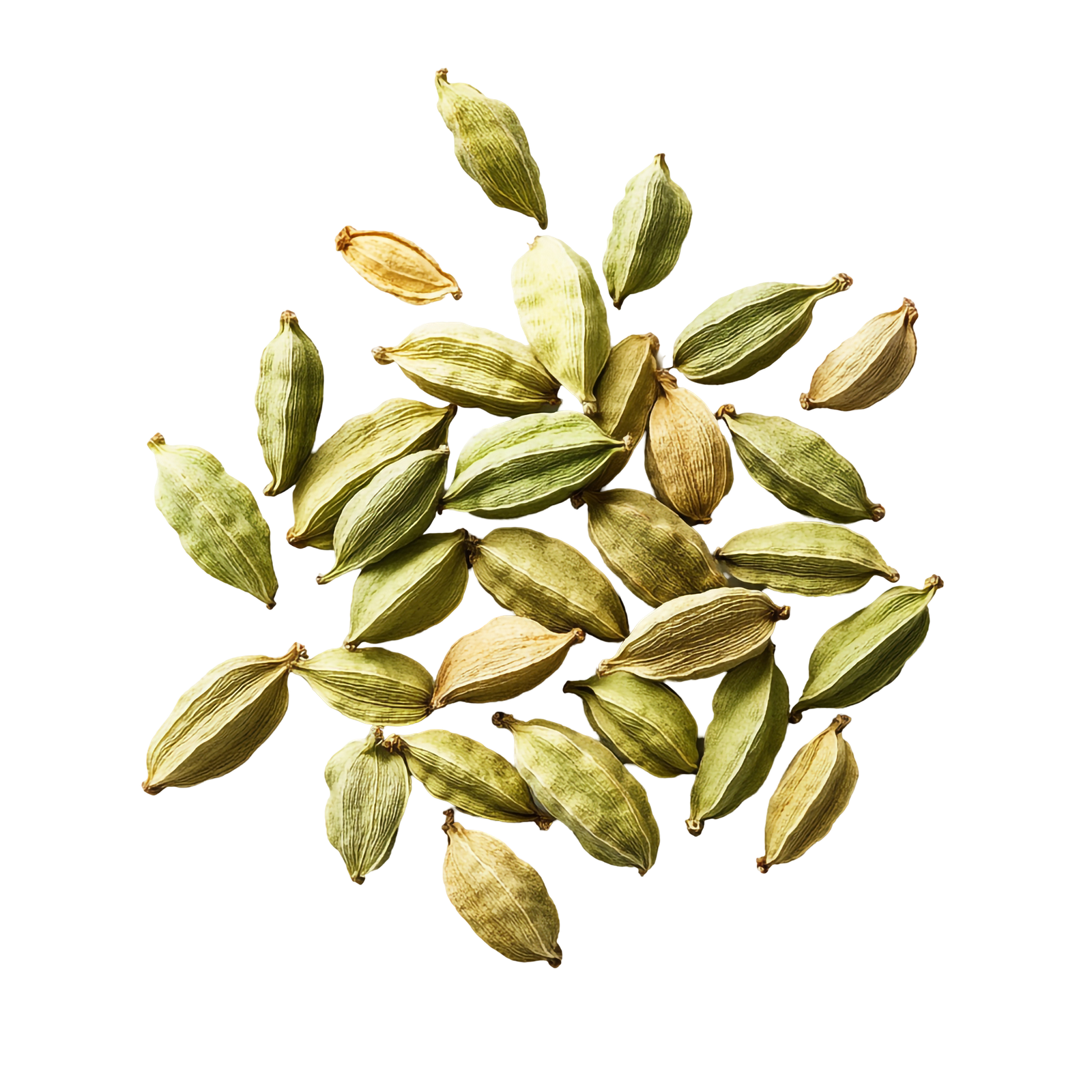 Premium Green Cardamom - Elaichi