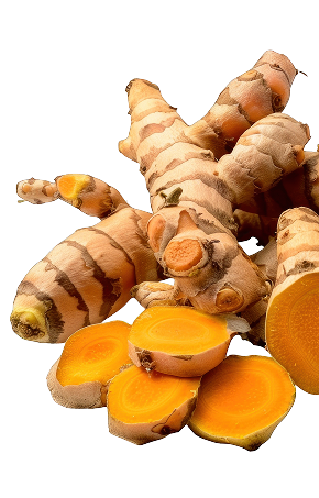 Premium Turmeric Whole - Haldi