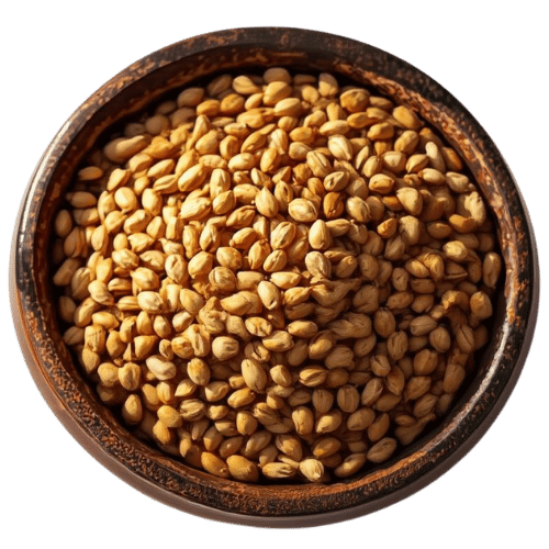 Barley - The Complete Grain