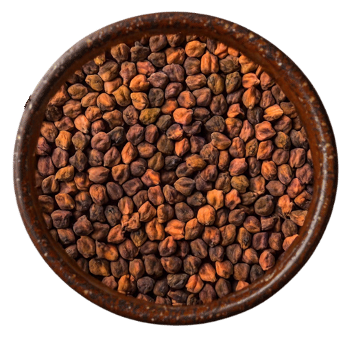 Desi Chana (Bengal Gram) - Traditional Indian Variety