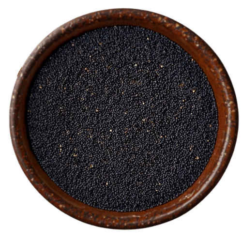 Premium Black Mustard – Rai