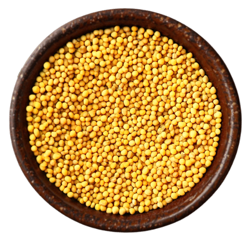 Premium Yellow Mustard – Sarson (Brassica alba)
