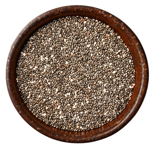 Premium Chia Seed – (Salvia hispanica)